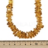 Natural Amber Chip Beaded Necklaces NJEW-L466-03B-5