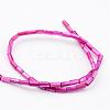 Natural Shell Bead Strands BSHE-P016-09-2