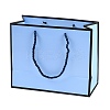 Rectangle Paper Bags with Rope Handles CARB-L011-02B-03-1