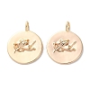 Brass Pendants KK-C079-02G-1