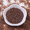 MIYUKI Delica Beads Small SEED-X0054-DBS0170-2