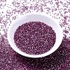 MIYUKI Delica Beads SEED-MY11-DB1880-2