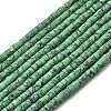 Dyed Synthetic Turquoise Beads Strands G-Z089-A04-J-3