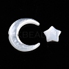 Natural White Shell Beads Sets SSHEL-N032-52A-01-2