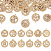 Zinc Alloy Jewelry Pendant Accessories FIND-FW0001-03A-1