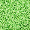 11/0 Grade A Baking Paint Glass Seed Beads X-SEED-N001-A-1023-2