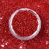 FGB 11/0 Grade A Glass Seed Beads X-SEED-S030-1016-3
