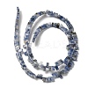 Natural Blue Spot Jasper Beads Strands G-Z045-A08-01-2