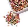 55G 8/0 Plated Glass Seed Beads SEED-FS0001-02-4