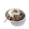 Natural Sea Shell Big Pendants SHEL-F005-05P-4