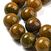 Natural Ocean Jasper Beads Strands G-P503-10MM-07-4