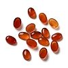 Natural Carnelian Cabochons G-F605E-22A-1