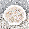 6/0 Glass Seed Beads SEED-N008-07M-2