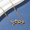 304 Stainless Steel Chemical Symbol Pendant Necklaces NJEW-Z073-03G-06-2