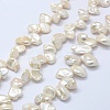 Natural Baroque Pearl Keshi Pearl Beads Strands PEAR-K004-29-1