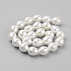 Shell Pearl Beads Strands BSHE-K010-05A-2