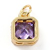 Real 18K Gold Plated Brass Inlaid Cubic Zirconia Charms ZIRC-L100-073G-05-3
