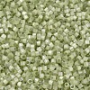 MIYUKI Delica Beads LS-X-SEED-J020-DB1815-3