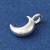 925 Sterling Silver Charms FIND-U013-06S-01-2