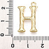 304 Stainless Steel Pendants STAS-N117-01G-H-3