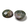 Natural Indian Agate Cabochons G-C115-02B-09-2