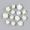 Luminous Flower Resin Cabochons CRES-T025-10G-1