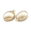 Natural Trochus Shell Charms PEAR-P004-49KCG-3