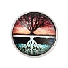 Round Glass Brooches LS-JEWB-A022-02F-1
