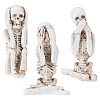3Pcs 3 Styles Resin Skeleton Home Display Decorations DJEW-WH0103-007-1