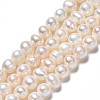 Natural Cultured Freshwater Pearl Beads Strands PEAR-N013-05C-3