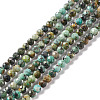 Natural African Turquoise(Jasper) Beads Strands LS-G-F717-01-1