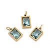 PVD Vacuum Plating 304 Stainless Steel Pendants STAS-D189-03G-B03-1