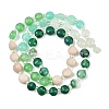 Natural Agate Dyed White Jade & Fossil Beads Strands G-Z135-B02-4