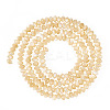 1 Strand Natural Trochus Shell Rondelle Beads Strands SSHEL-TA0001-16B-1