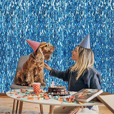 Plastic Foil Fringe Curtains DIY-WH20011-33D-1
