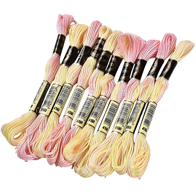 10 Skeins 6-Ply Polyester Embroidery Floss OCOR-CY0002-99G-1