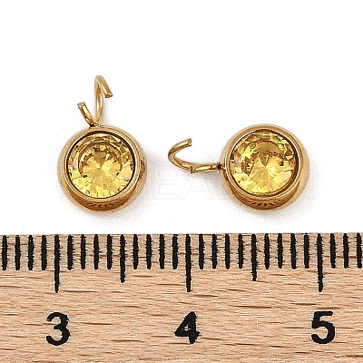 Ion Plating(IP) 304 Stainless Steel Micro Pave Cubic Zirconia Charms STAS-Z094-02G-11-1