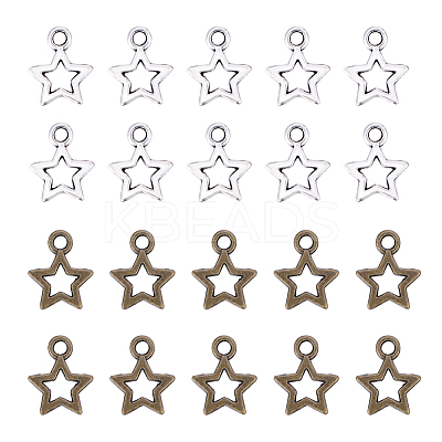Tibetan Style Alloy Charms PALLOY-PH0005-73-1