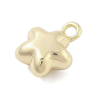 Brass Charms KK-S514-06B-G-1