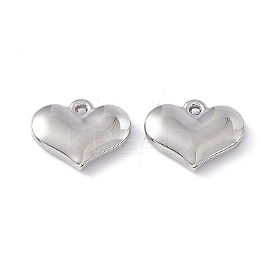 Non-Tarnish 304 Stainless Steel Pendants STAS-K242-17P-1