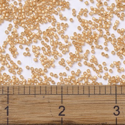MIYUKI Delica Beads X-SEED-J020-DB2171-1