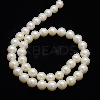 Natural Cultured Freshwater Pearl Beads Strands PEAR-L001-I-13-1