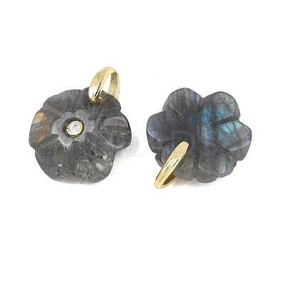 Natural Labradorite Pendants GG-NH0016-01G-09-1