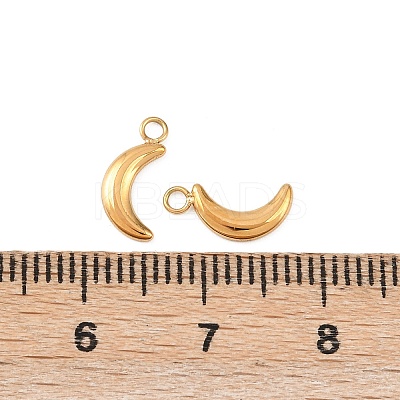 304 Stainless Steel Charms STAS-D390-23G-1