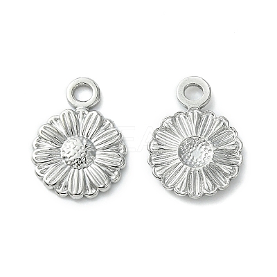 Non-Tarnish 304 Stainless Steel Charms LS-STAS-L269-056P-1