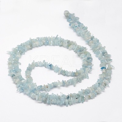 Chips Natural Aquamarine Beads Strands G-N0164-51-1