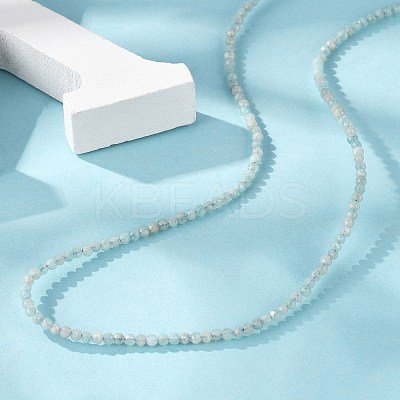 Natural Amazonite Beaded Necklaces NJEW-K114-A-A07-1