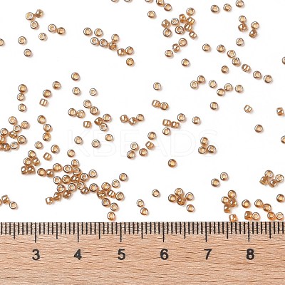 TOHO 11/0 Round Beads X-SEED-TR11-0103C-1
