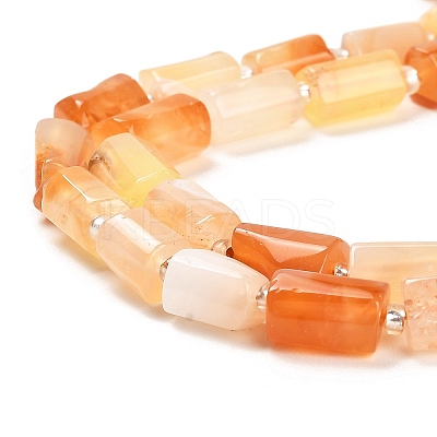 Natural Red Botswana Agate Beads Strands G-G068-A18-01-1