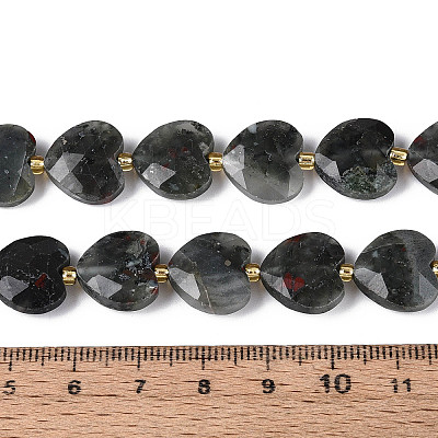 Natural African Bloodstone Beads Strands G-P592-B07-01-1